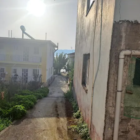 View Lejlighed Petalídhion